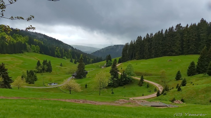 Panorama bij Blaiswald-Muchenland